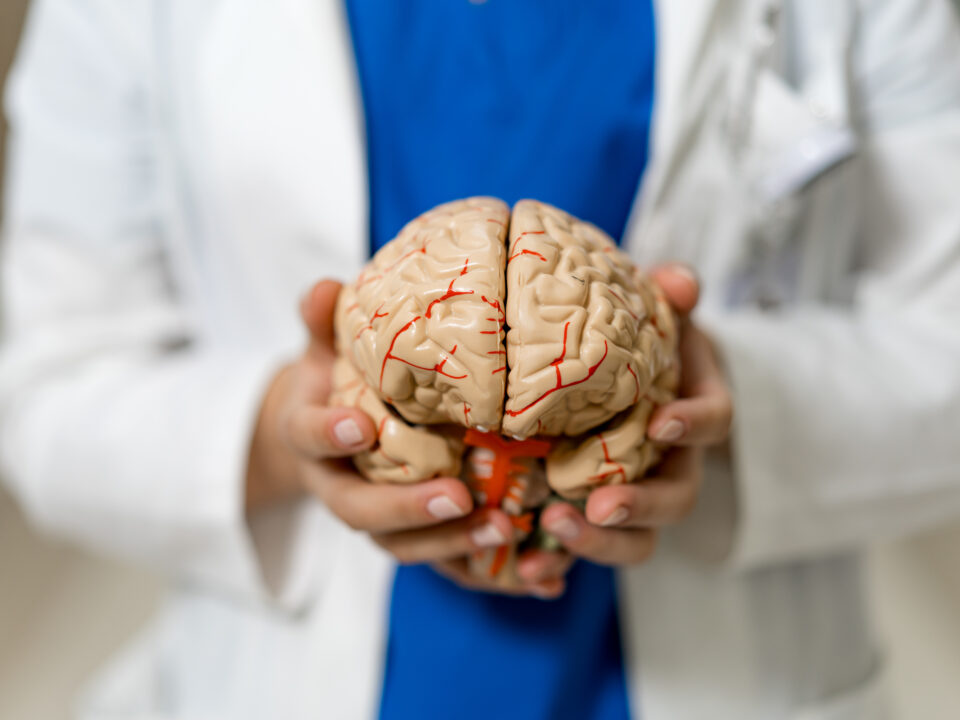 Medica vestida com um jaleco e uma camiseta azul, segurando um exemplar falso de cérebro